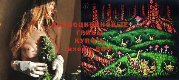 ешки Абинск