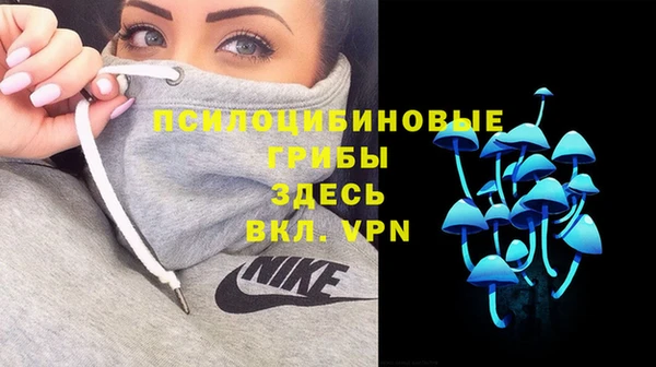 ешки Абинск